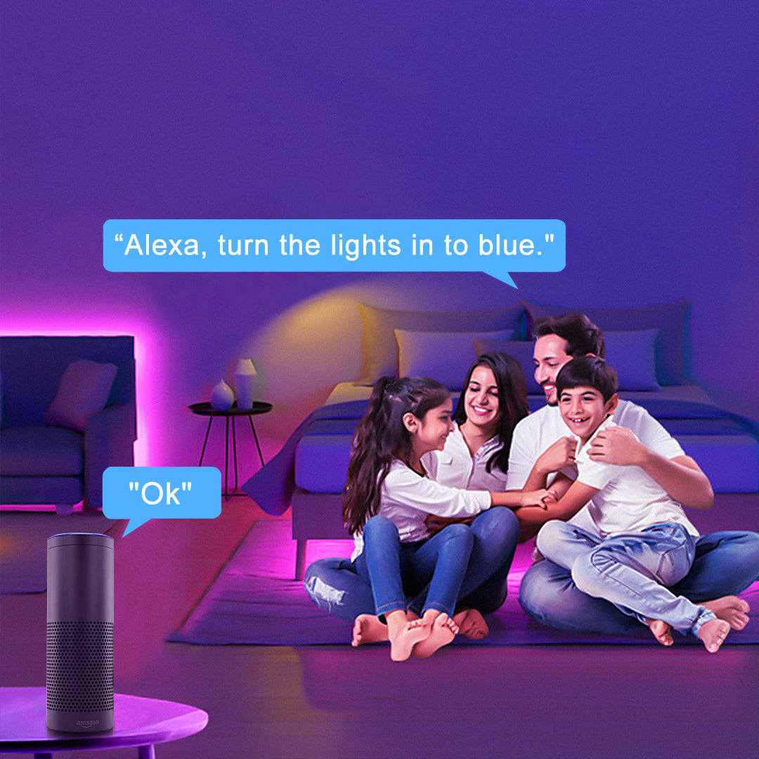 Alexa LED Strip Lights